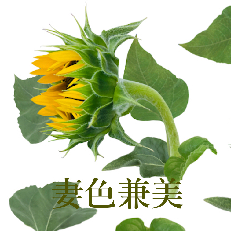 コース2
